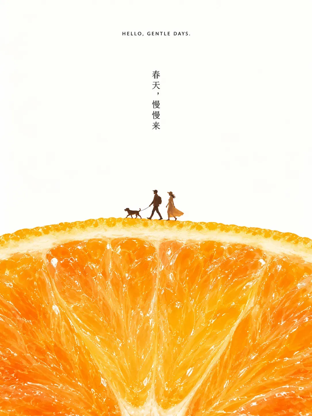 Pareja paseando al perro sobre una rebanada de naranja con texto primaveral | Prompts para generación de imágenes por IA